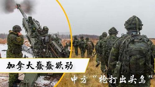 枪打出头鸟图片,揭示勇敢者的宿命与智慧